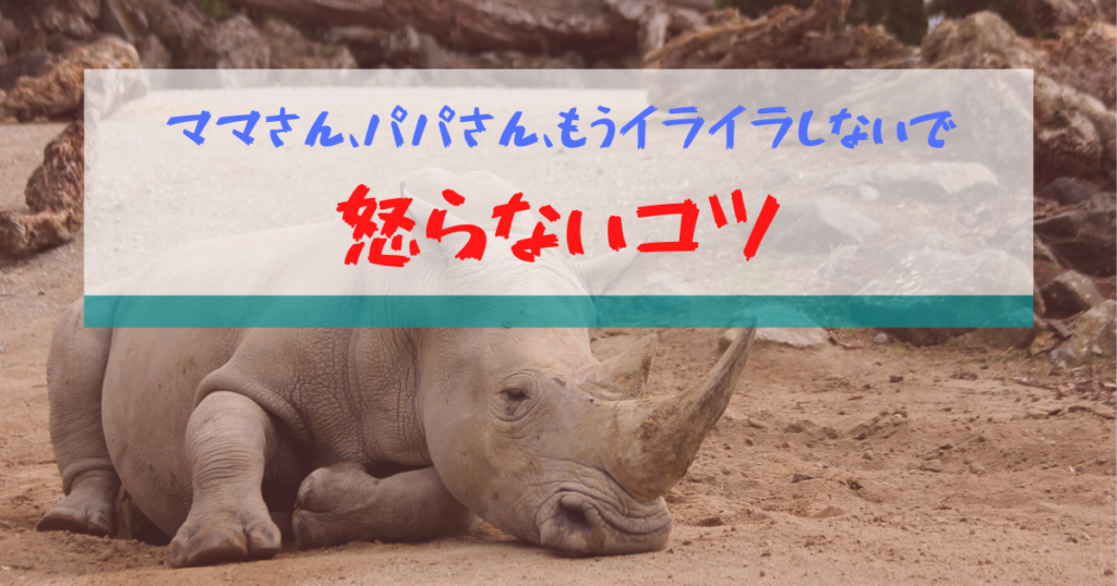 怒らないコツ